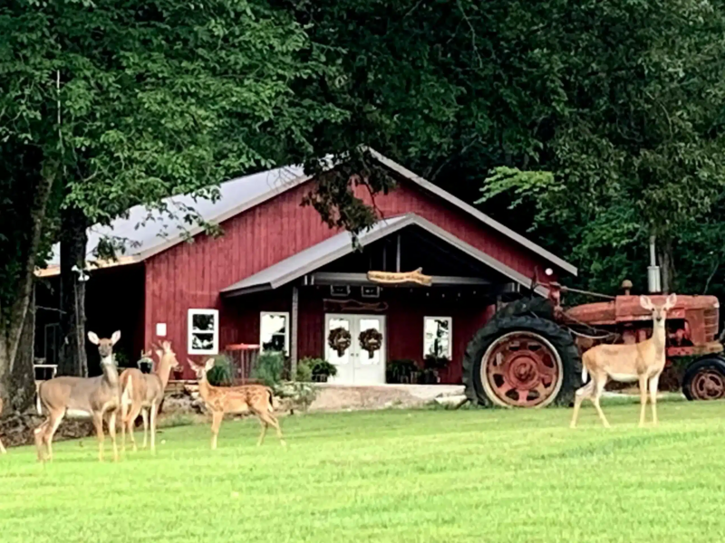 Lodge Between The Lakes, LLC